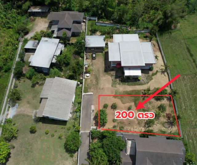 ขายที่ดินแบ่งแปลง 200 ตร.วา ทำเลแม่เหี้ยะ ใกล้เมืองเชียงใหม่  หนองควาย หางดง