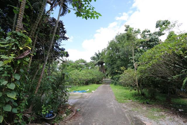 ขายที่ดิน 3-2-41 ไร่ แม่ริม เชียงใหม่ รายล้อมด้วยธรรมชาติ เงียบสงบ