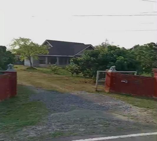 ขายที่ดิน 10-1-12ไร่ 17ลบ. บ้าน1หลัง บ่อปลา สวนลำไย 200ต้น ใกล้ถนนวงแหวน4 ต.ท่ากว้าง อ.สารภี เชียงใหม่