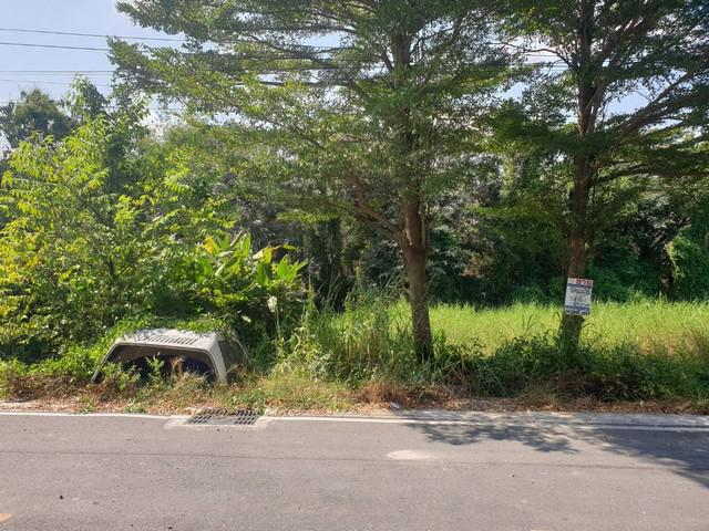 ที่ดิน - 1000000 บาท.  10 sq.wa 0 NGAN 0 ไร่ ไม่ไกลจาก – บิ๊กซี  – โลตัส  – ดูโฮม  – วัดอัยยิการาม  – ตลาดต้นไม้ คลอง 9  – โรงเรียนสารสาสน์วิเทศรังสิต คลอง 7  – โรงเรียนจุฑารัตน์วิทยา  – โรงเรียนวัดอัยยิการาม  – โรงพยาบาลธัญบุรี  – โรงพยาบาลคลองหลวง 