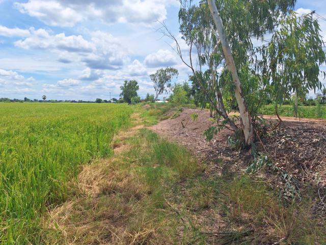 ที่ดินเปล่า 21-3-23 ไร่ ใกล้สนามบินกำแพงแสน, ม.เกษตร กำแพงแสน จ.นครปฐม