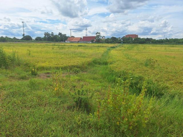 ที่ดินเปล่า 4-0-25.5 ไร่ ใกล้สนามบินกำแพงแสน นครปฐม