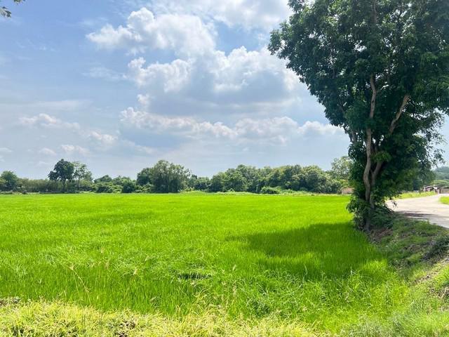 ขายบ้านที่ดินบ้านเซิด แปลงสวย โซนพนัสนิคม ชลบุรี FP-L01199 