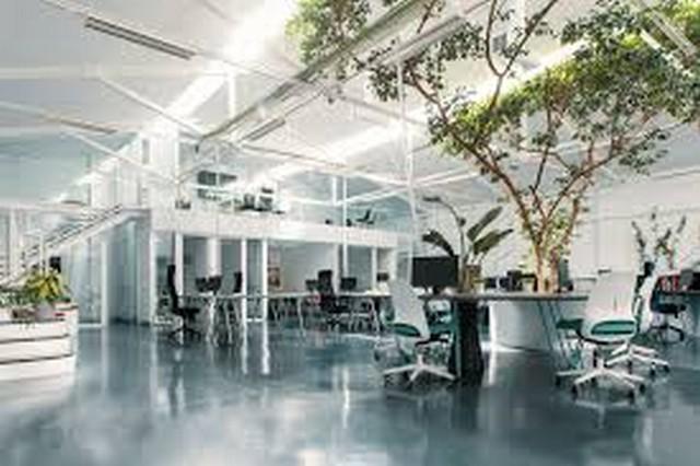 ขายอาคารสำนักงาน 2 ชั้น พื้นที่ทั้งหมดราว 600 ตรม. ไม่รวมที่จอดรถ เชียงใหม่