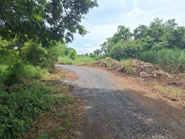 ขายที่ดินเปล่า 72 ตรว 1.5แสน   ภาชี   พระนครศรีอยุธยา