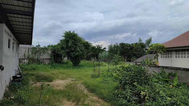 ขายบ้านพร้อมที่ดิน 1-2-29.7 ไร่ ติดถนนใหญ่พหลโยธิน บ้านต้นยาง ต.บัวสลี อ.แม่ลาว จ.เชียงราย