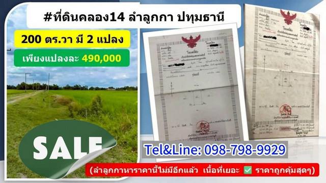 ที่ดินคลอง14ลำลูกกา ปทุมธานี  200 ตร.ว 490,000 ขายถูกๆ 
